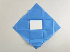 Toalha Absorvente LL220808